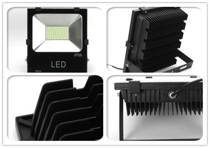 100w ledlightlight.jpg